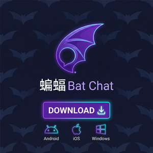 蝙蝠聊天 - 蝙蝠聊天软件智能分类功能介绍